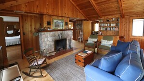 A cozy cabin interior with a stone fireplace, wooden walls, a blue sofa, and a bookshelf. - Long Lake Waterfront Cottage (Traverse City)