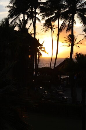 A sunset view with palm trees and a beach.