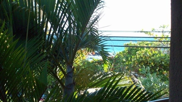 Vista a través de una ventana con palmeras y un atisbo del océano.