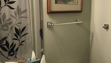 Bathtub, eco-friendly toiletries, hair dryer, towels