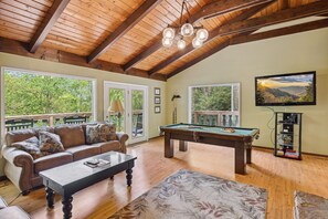 TV, fireplace, DVD player, books