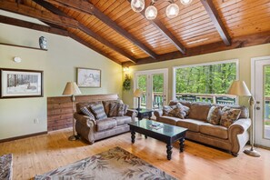 TV, fireplace, DVD player, books