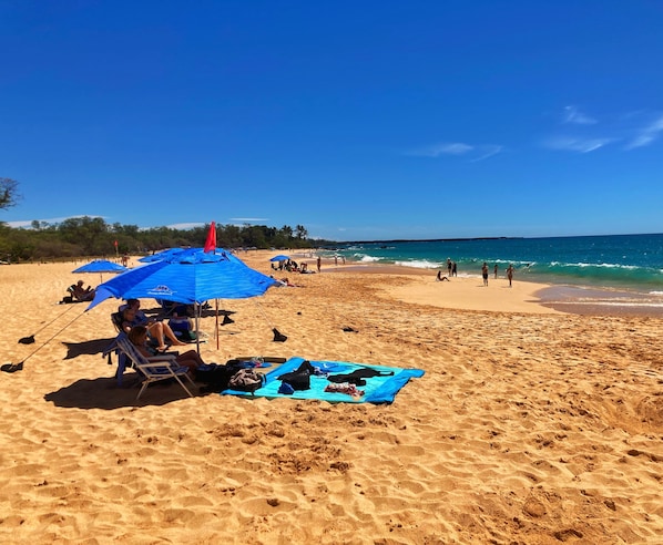 Plage à proximité, chaise longue, serviettes de plage