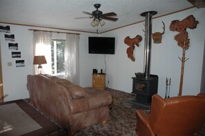 Smart TV, DVD player, books, stereo