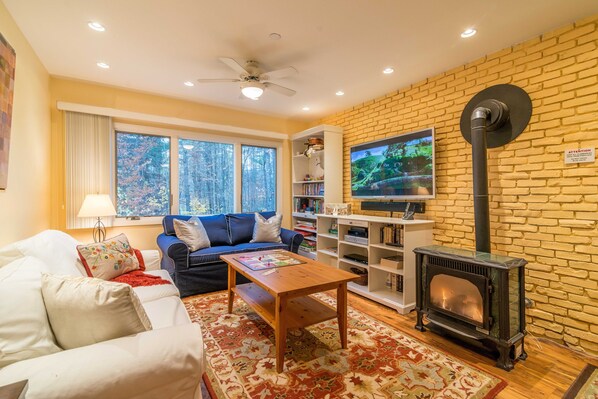 Smart TV, fireplace, DVD player, video library