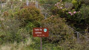 A white building with a red tower, surrounded by greenery and a sign indicating it is the Yaquina Bay Lighthouse.