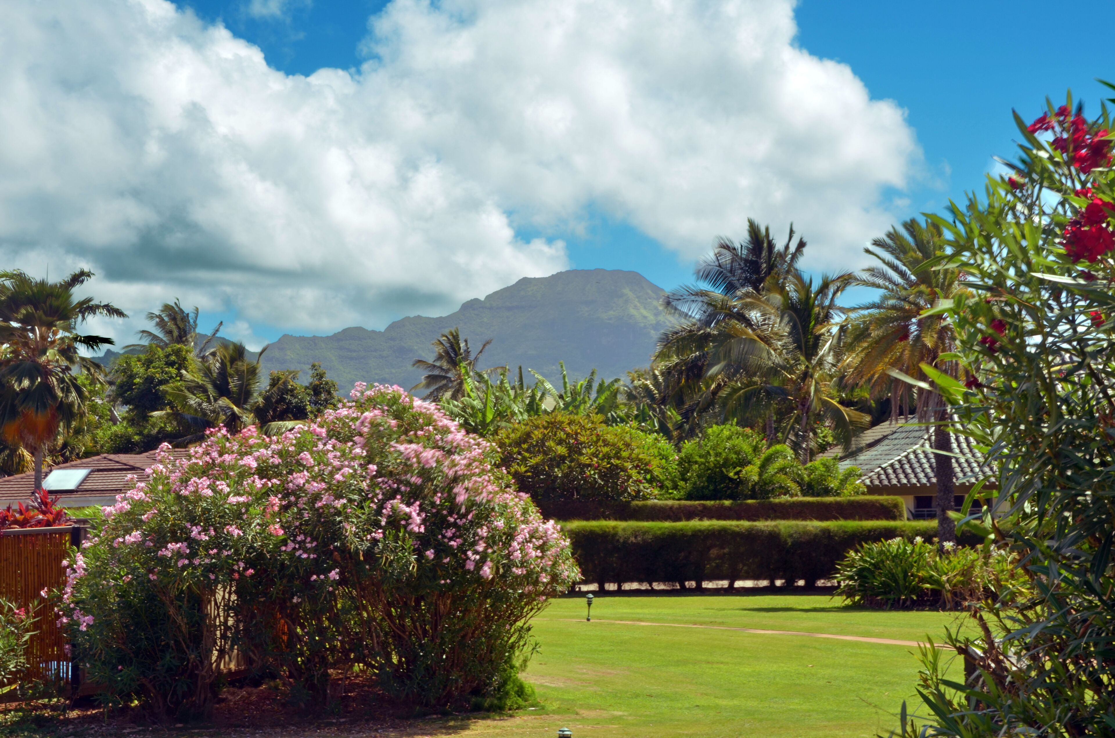 A lush garden with a well-maintained lawn, a variety of tropical plants, and a traditional building with a tiled roof.