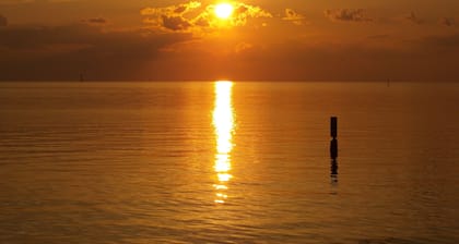 A short walk to the Dauphin beach, 20% Discount for a month stay ,pets welcome