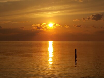 A short walk to the Dauphin beach, 20% Discount for a month stay ,pets welcome