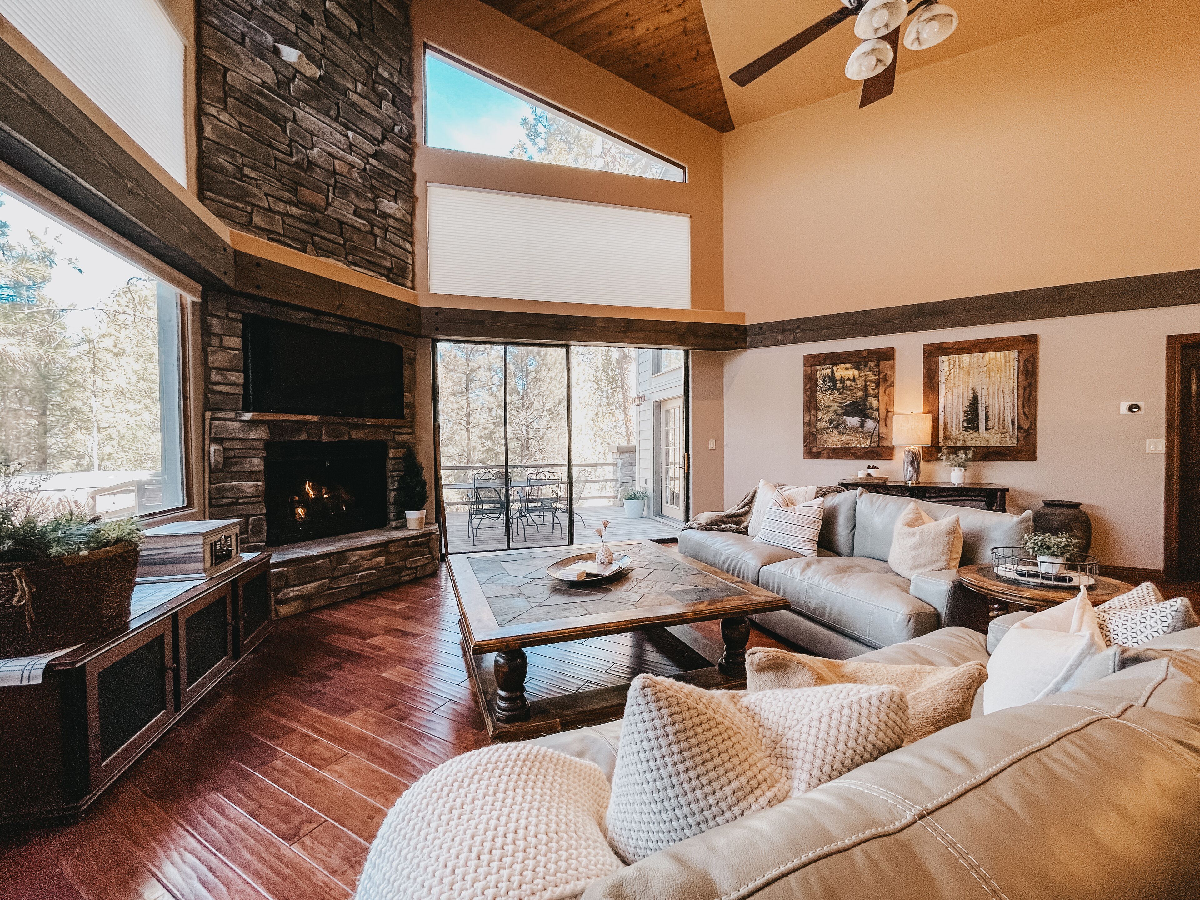 Televisión, chimenea y reproductor de DVD 