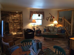 Télévision, cheminée, lecteur de DVD, livres