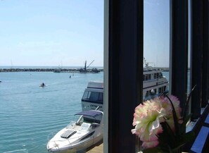 Blick auf einen Hafen mit vertäuten Booten, einem wolkenlosen Himmel und einer Blume im Vordergrund.