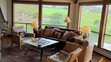 智能电视、壁炉、DVD 播放器、书