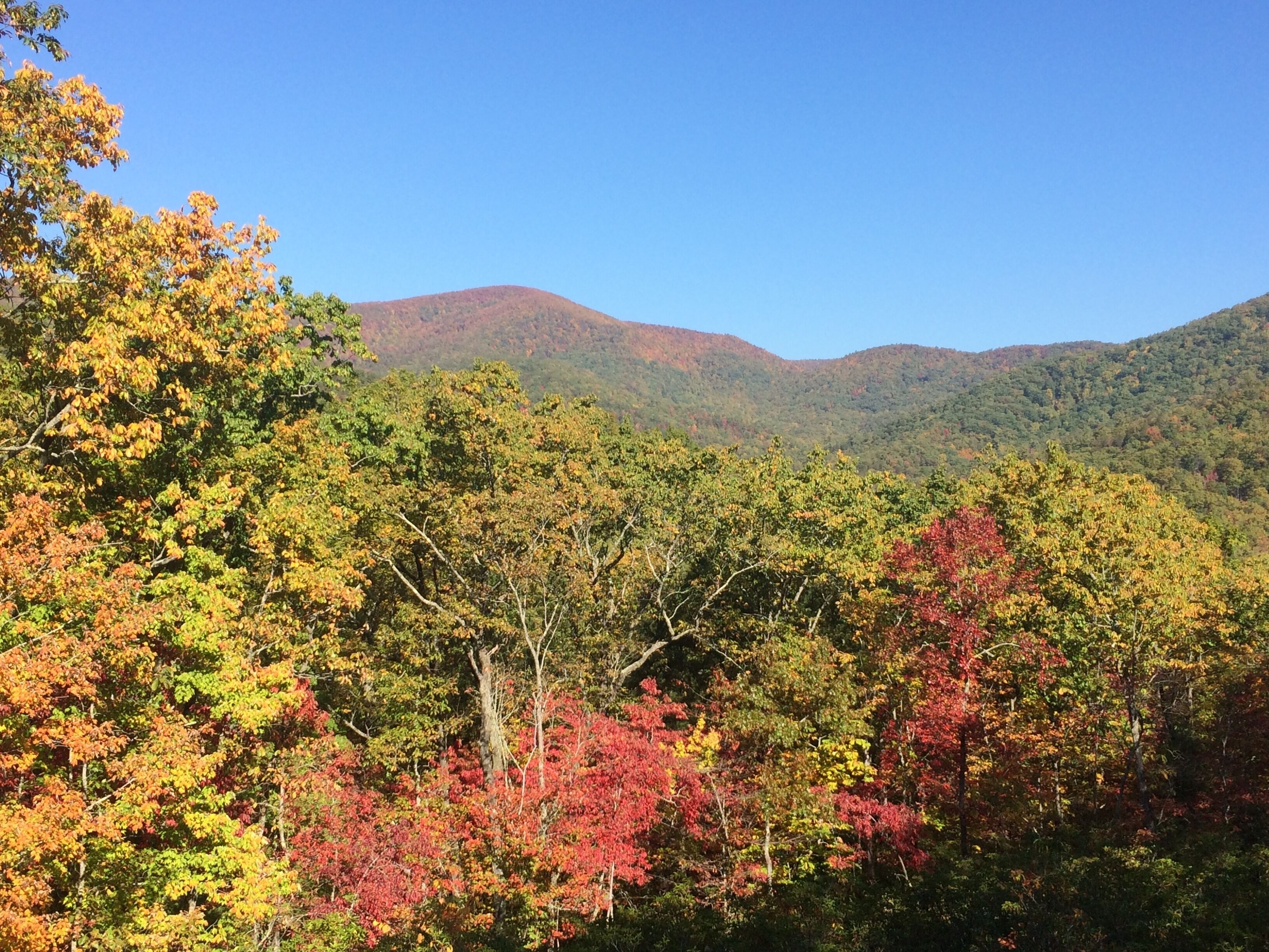 A mountainous landscape with autumn foliage.
