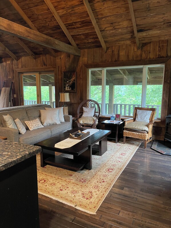 Smart TV, chimenea, reproductor de DVD y libros 