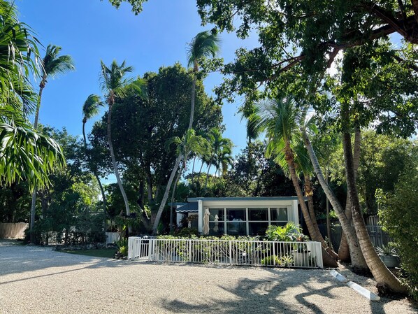 A house surrounded by palm trees and a gravel driveway.