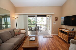 Smart TV, DVD player, books