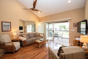 Smart-tv, dvd-afspiller, bøger