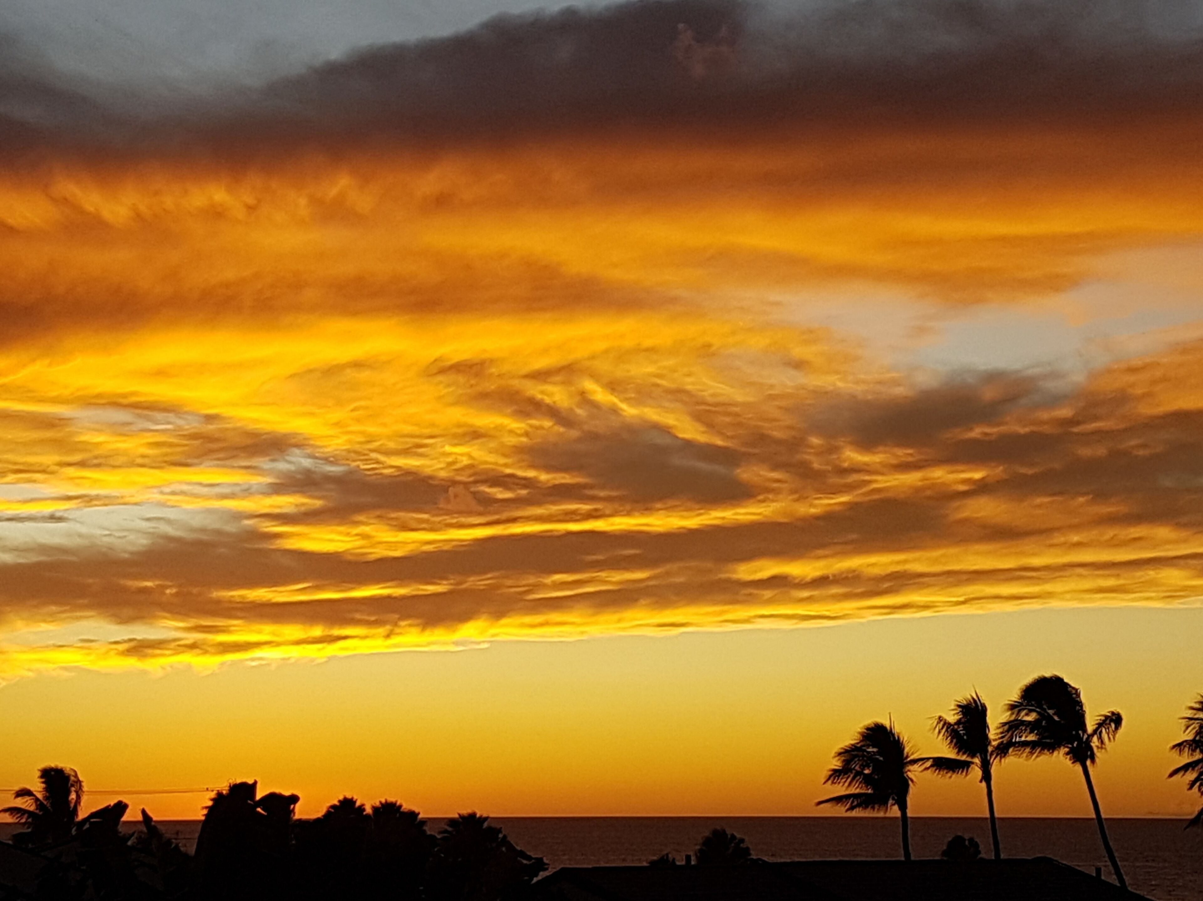 Un atardecer sobre una playa con palmeras silueteadas contra el cielo.