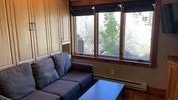 TV, fireplace, stereo