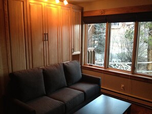 TV, fireplace, stereo