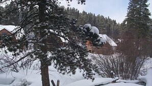 A snow-covered landscape with a wooden signpost and houses in the background.