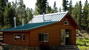 A wooden cabin with a green metal roof, a chimney, and a stone foundation. - Mountain View Chalet - Fantastic Views and Privacy  (Blackhawk)