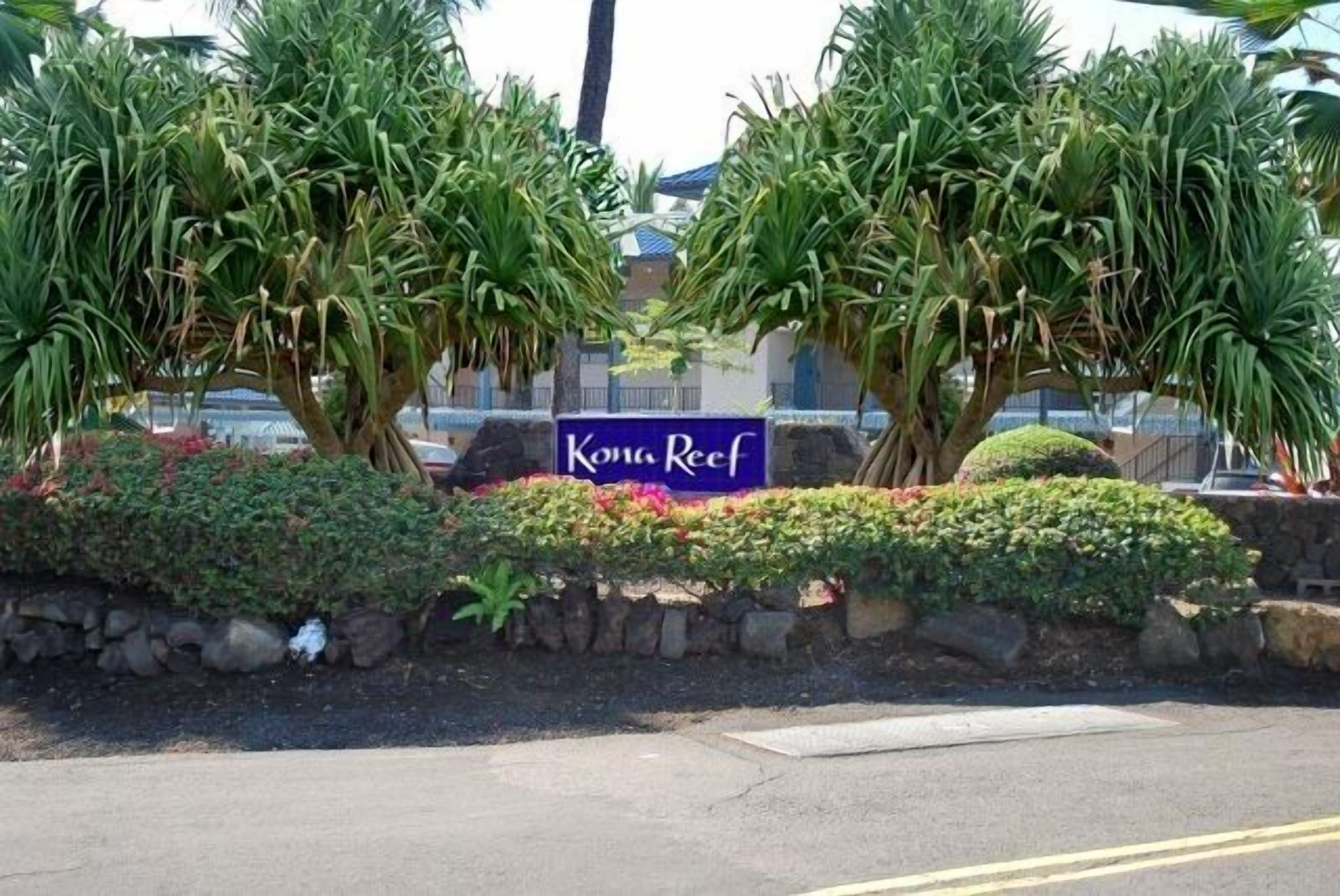 A sign for Kona Reef with tropical landscaping.