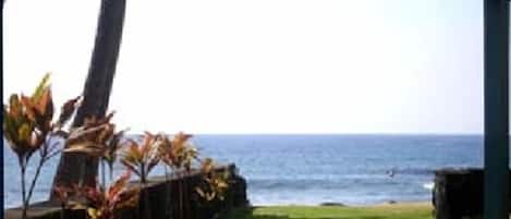 A view of a grassy area with a wooden structure and a view of the ocean.