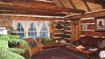 Fernseher, BĂŒcher, Musikbibliothek, Stereoanlage