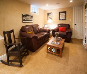 TV, fireplace, books, music library