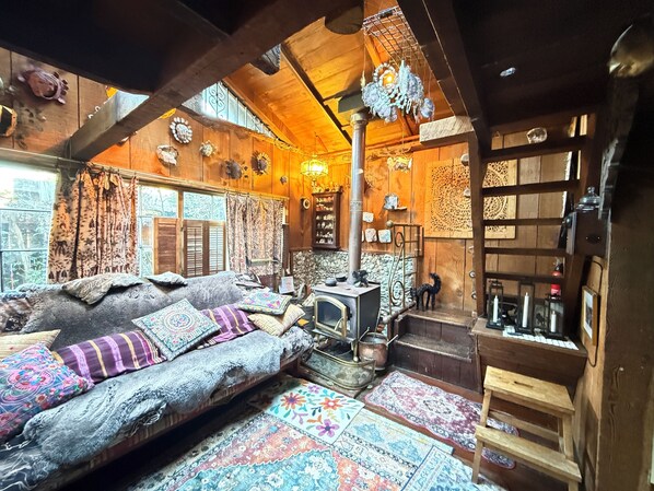 Smart TV, DVD player, books, music library