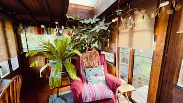 Smart TV, DVD player, books, music library