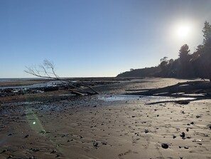 Beach nearby, sun-loungers, beach towels - The Bolinas Artist Cottage-Just a Minit! near the Sea (Bolinas)