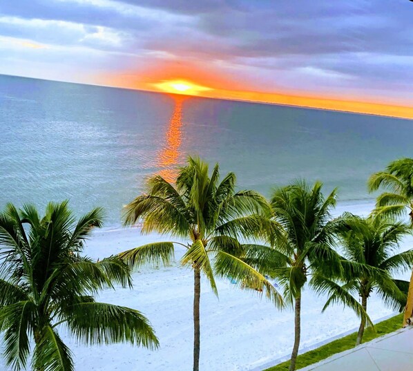 On the beach, sun-loungers, beach towels