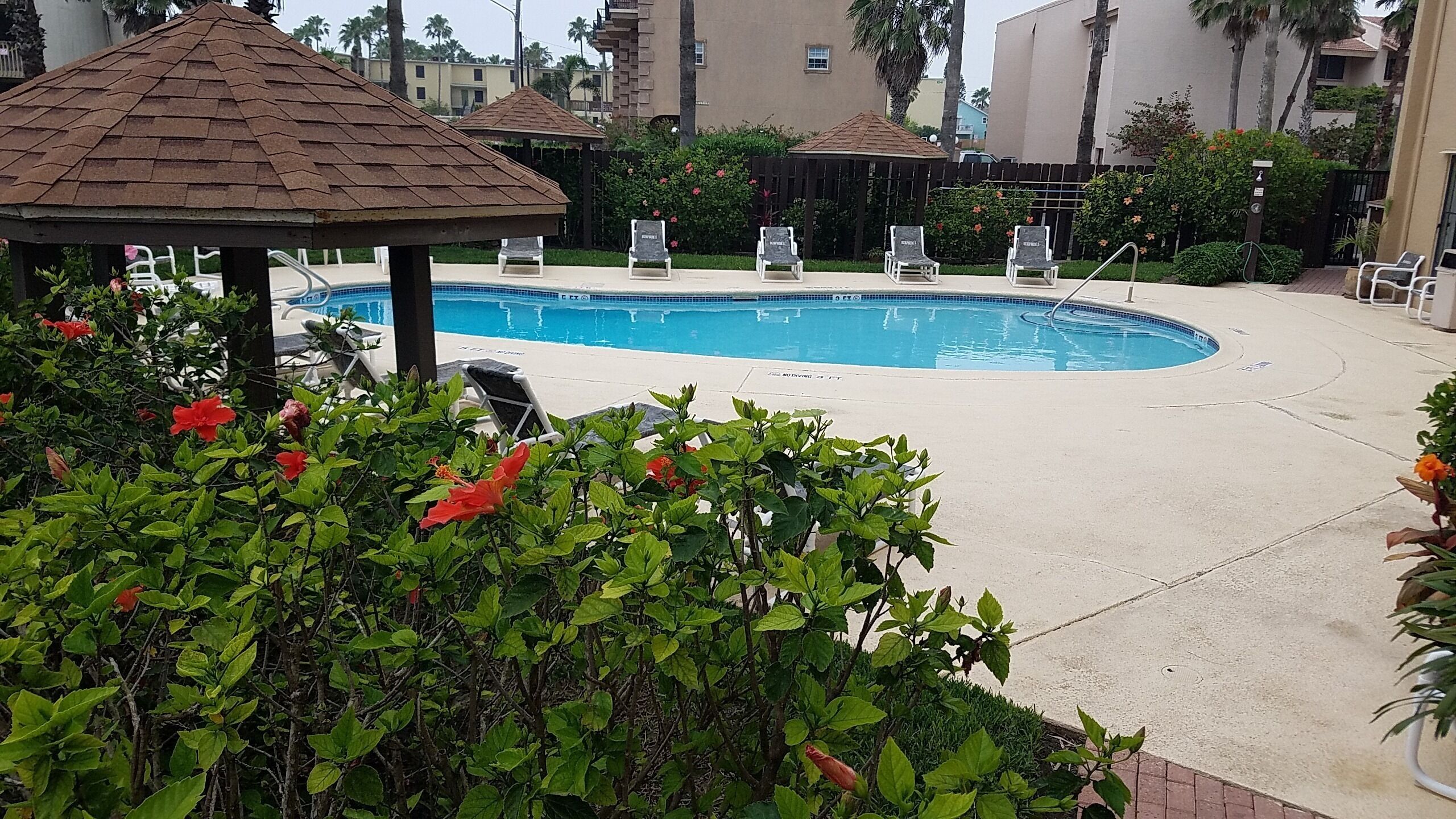 A swimming pool with lounge chairs, surrounded by greenery and a gazebo.