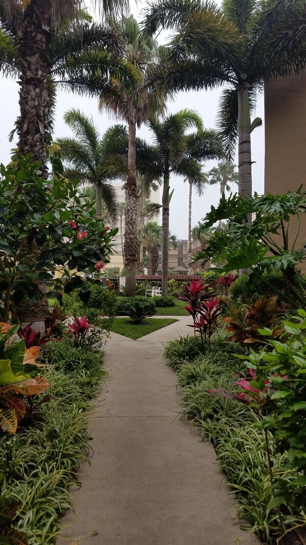 A pathway flanked by lush greenery and palm trees, leading towards a building with a beige facade.