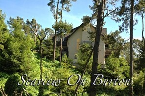 A house surrounded by trees. - Cambria Ocean View Tudor on Forested Preserve (Cambria)