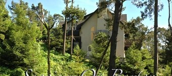 Cambria Ocean View Tudor on Forested Preserve