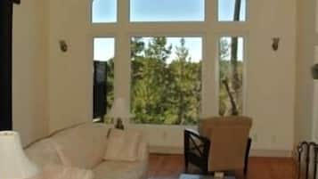 Älytelevisio, takka, DVD-soitin