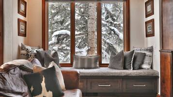 TV connectée, cheminée, jeux vidéo, lecteur de DVD