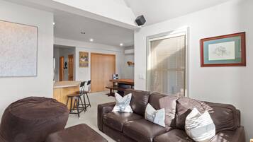 TV connectée, cheminée, jeux vidéo, lecteur de DVD