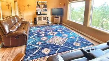 Télévision, cheminée, lecteur de DVD, livres