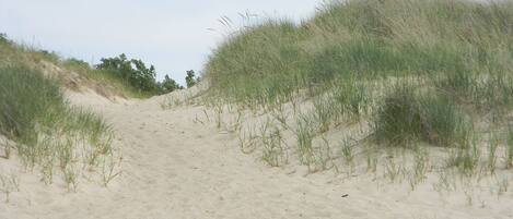 在海灘附近、躺椅、沙灘巾