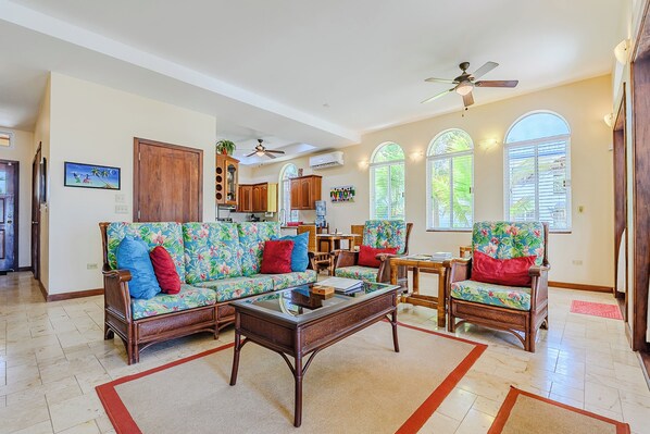 Smart TV, DVD player, books, video library