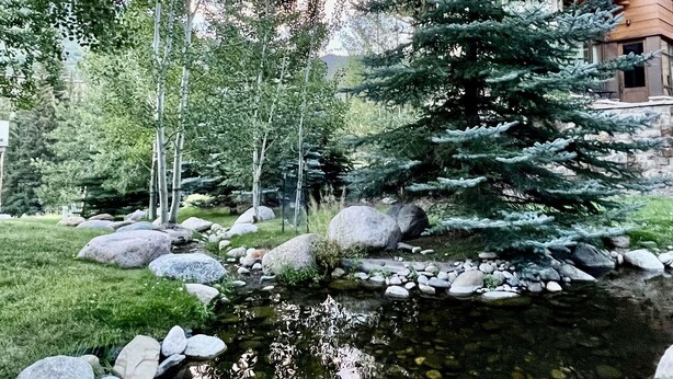 Un espace extérieur paisible, agrémenté d’un étang, de rochers et d’arbres.