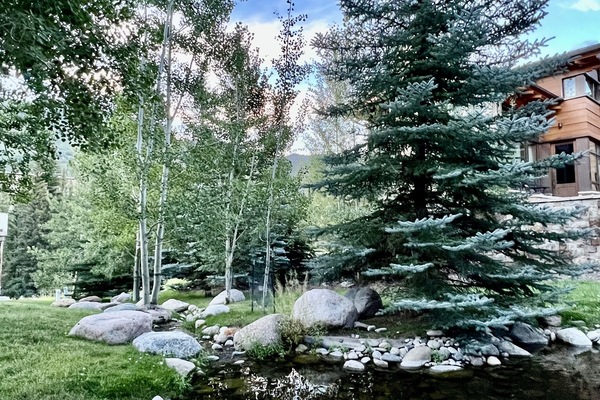 Parco della struttura