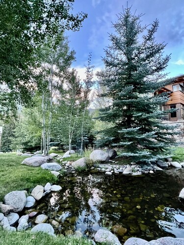 Steps to Gondola Forest Road Chalet with Jacuzzi & Wood Burn Fireplace