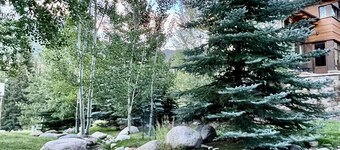 Steps to Gondola Forest Road Chalet with Jacuzzi & Wood Burn Fireplace