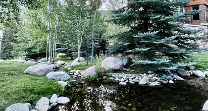 Katso, kuinka lähellä olet gondoli! Charming yksityinen chalet w / JacuzziTub